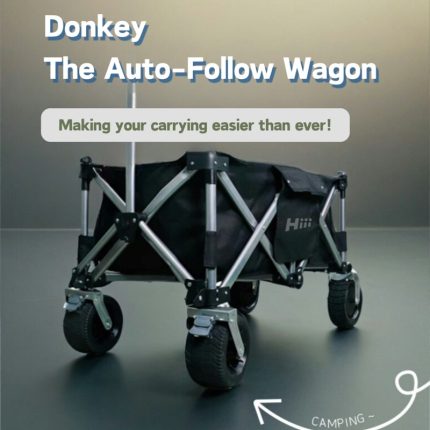 Donkey